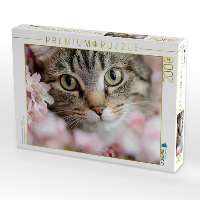 Wunderschöne Tigerkatze im Frühling - CALVENDO Foto-Puzzle'