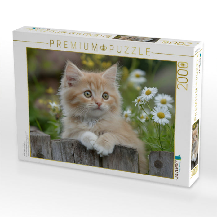 Roter Kater im Garten - CALVENDO Foto-Puzzle'
