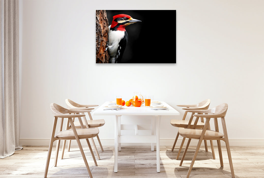 Premium Textil-Leinwand Specht