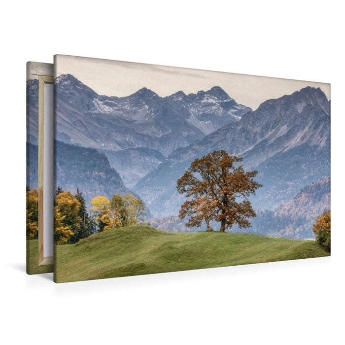 Premium Textil-Leinwand Zauberbaum (Oberstdorf, Allgäu, Deutschland)
