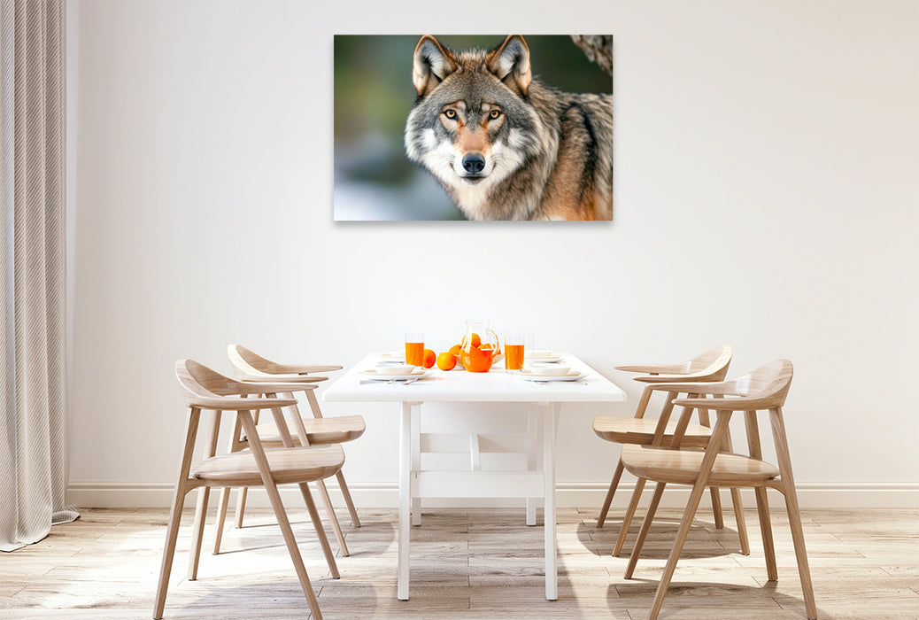 Premium Textil-Leinwand Wölfe