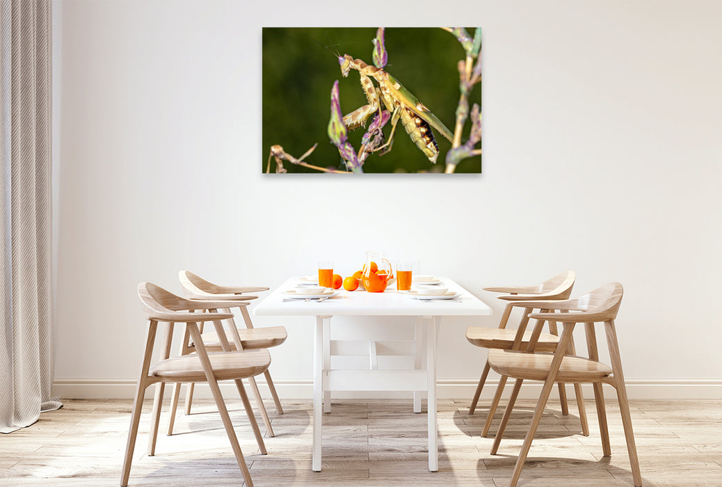 Premium Textil-Leinwand Ein Motiv aus dem Kalender Mystische Jägerinnen