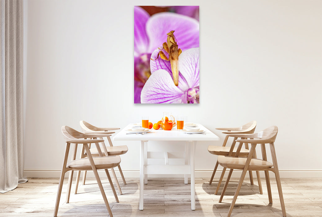 Premium Textil-Leinwand Orchideenmantis