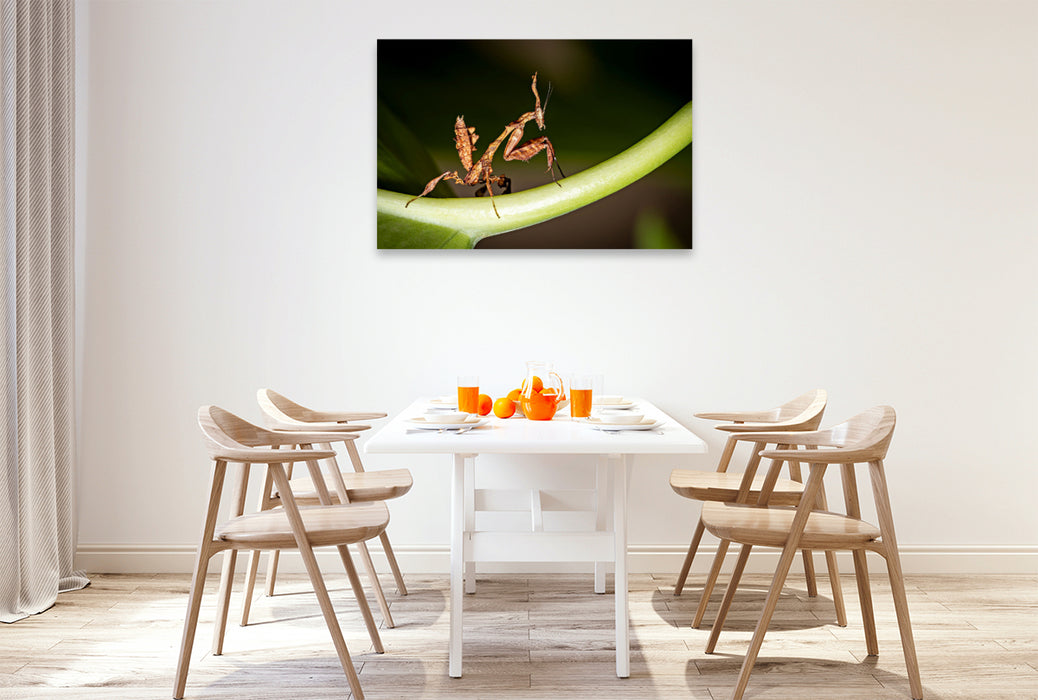 Premium Textil-Leinwand Geistermantis