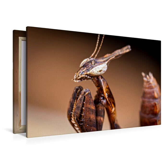 Premium Textil-Leinwand Geistermantis