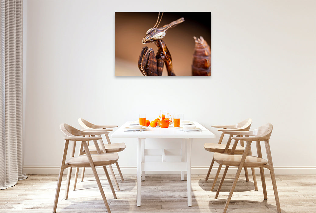 Premium Textil-Leinwand Geistermantis