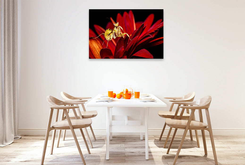 Premium Textil-Leinwand Blütenmantis