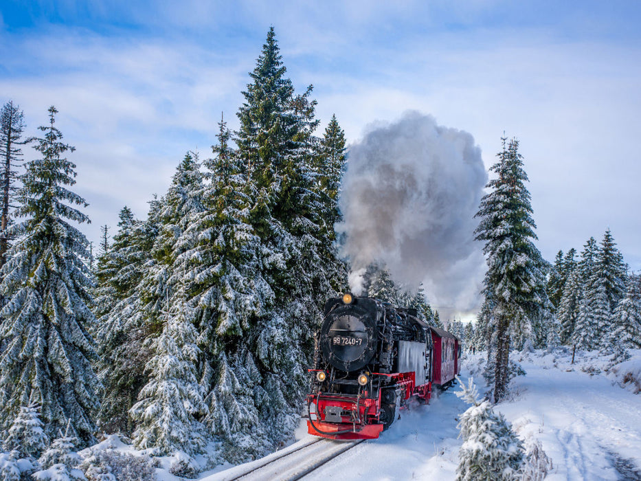 Die Brockenbahn am Goetheweg - CALVENDO Foto-Puzzle'
