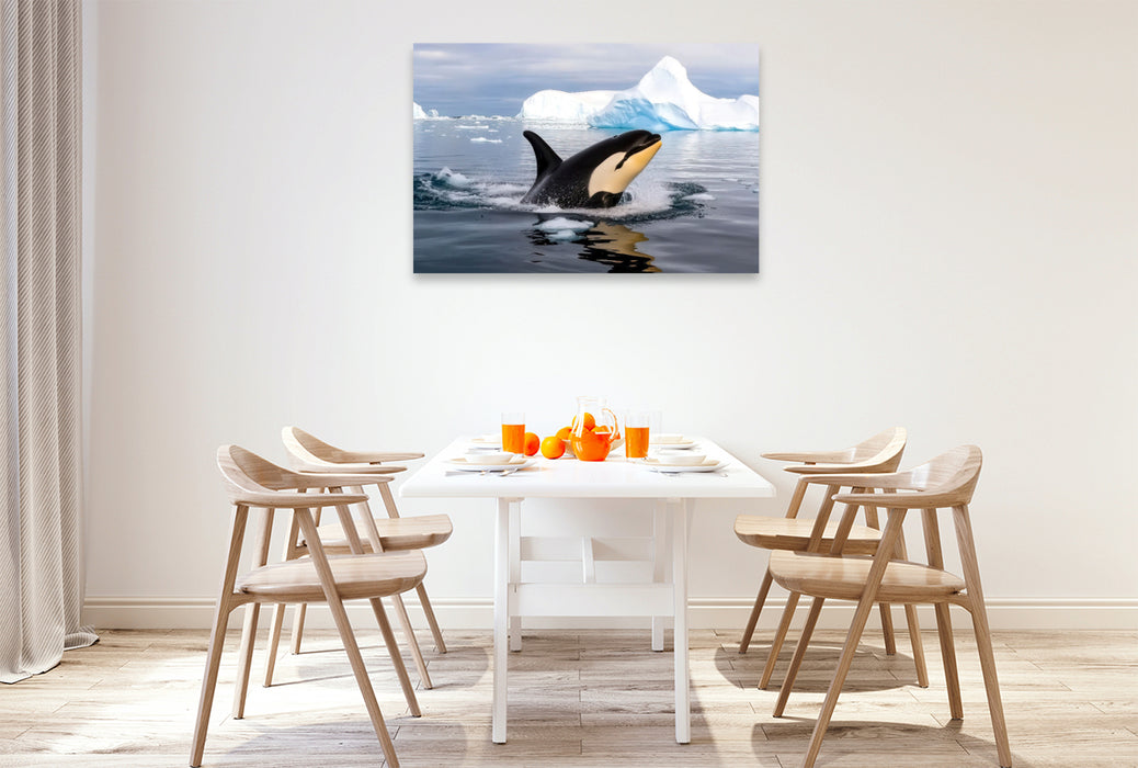 Premium Textil-Leinwand Antarktis, Orca