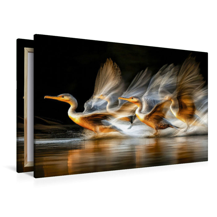 Premium Textil-Leinwand Drei Kormorane in perfekter Synchronität