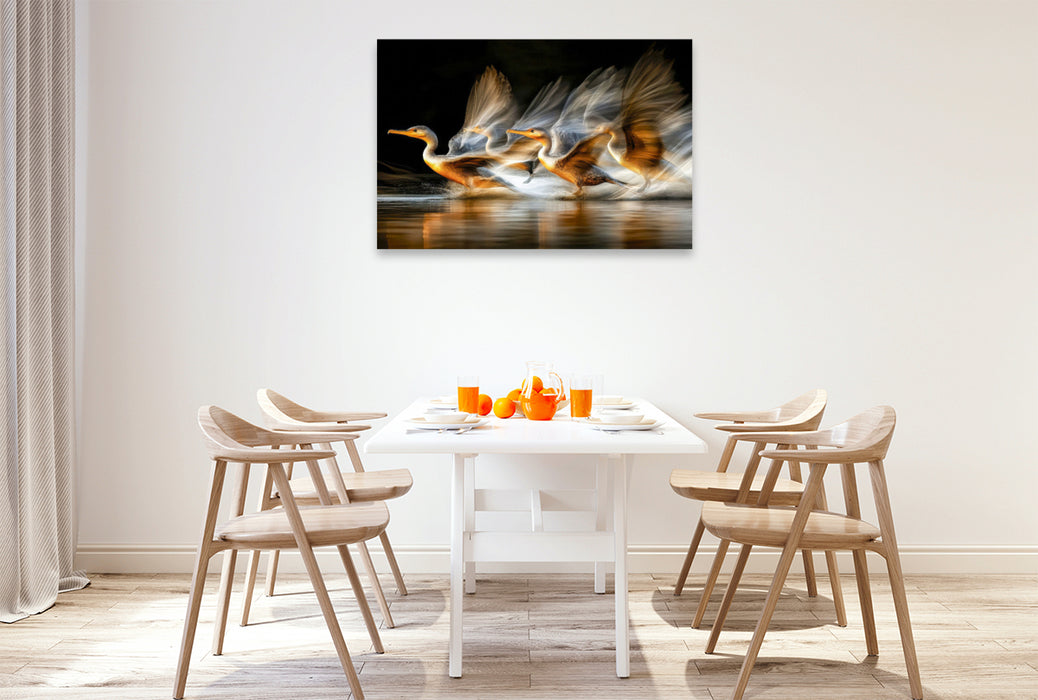 Premium Textil-Leinwand Drei Kormorane in perfekter Synchronität