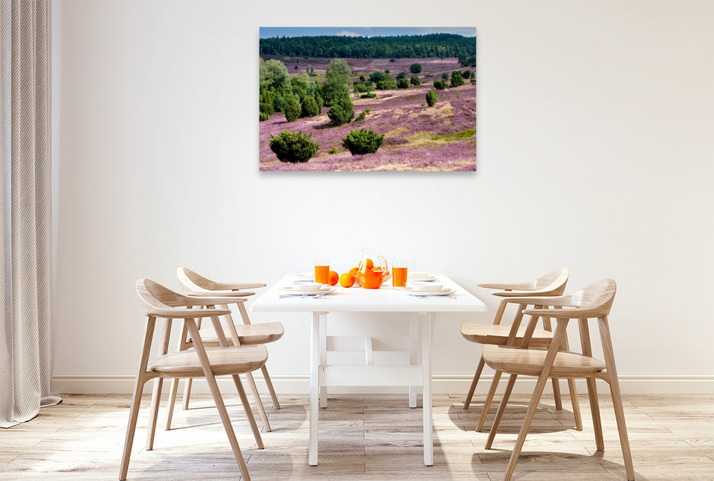 Premium Textil-Leinwand Blühende Heidelandschaft