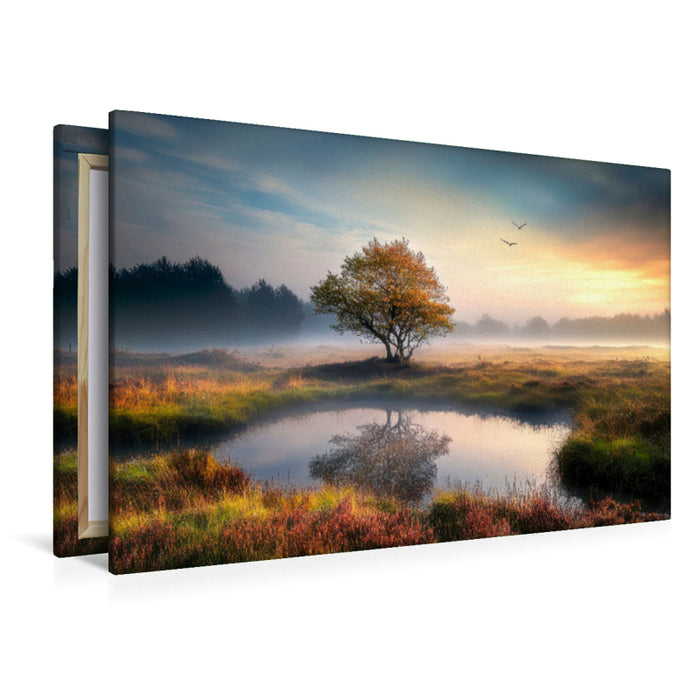 Premium Textil-Leinwand Geheimnisvolle Moorlandschaft