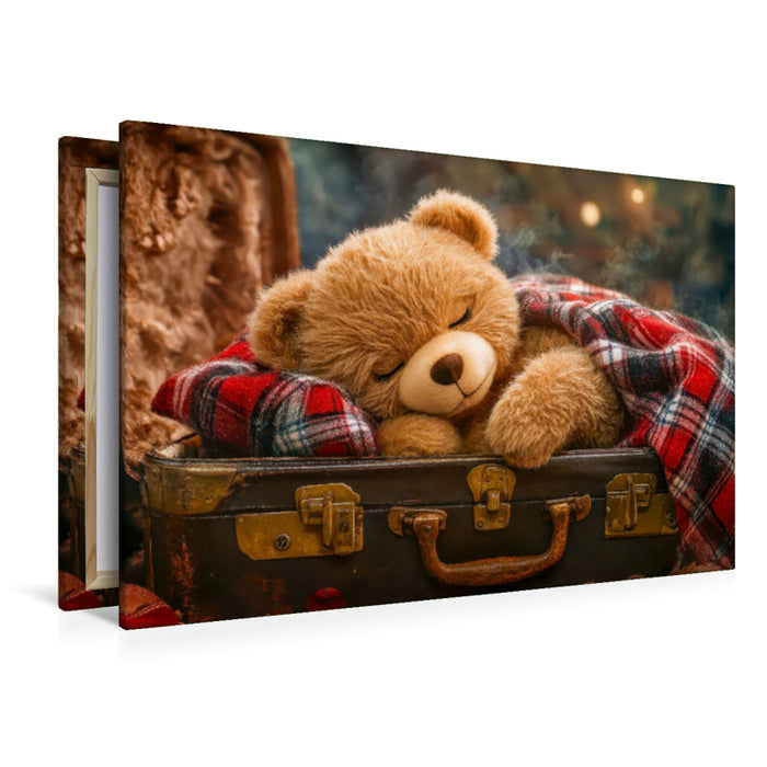 Premium Textil-Leinwand Dieser Koffer ist ein toller Schlafplatz