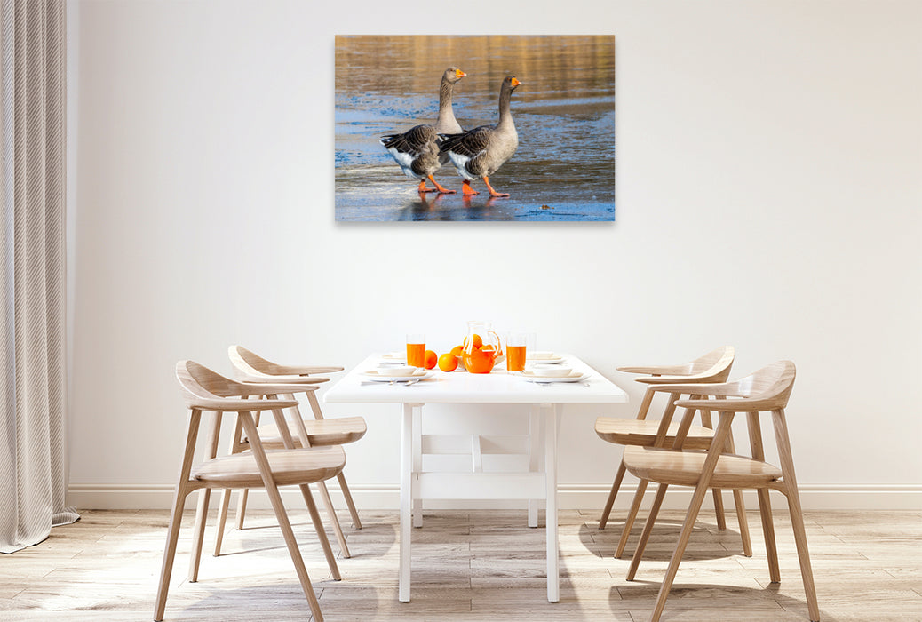 Premium Textil-Leinwand Zwei Graugänse