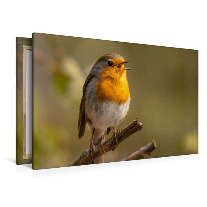 Premium Textil-Leinwand Frühlingsmelodie