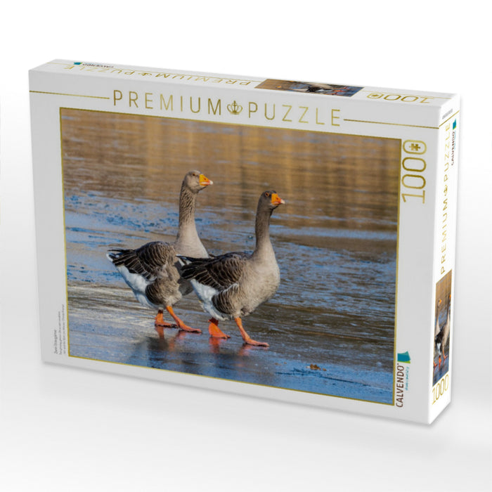 Zwei Graugänse - CALVENDO Foto-Puzzle'