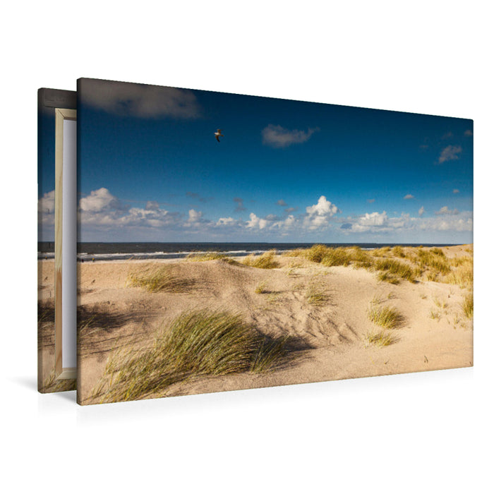 Premium Textil-Leinwand Dünenlandschaft Spiekeroog
