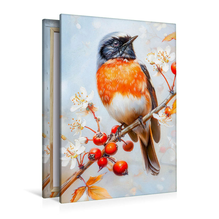 Premium Textil-Leinwand Einheimischer Singvogel Gartenrotschwanz Malerei
