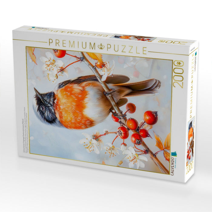 Einheimischer Singvogel Gartenrotschwanz Malerei - CALVENDO Foto-Puzzle'