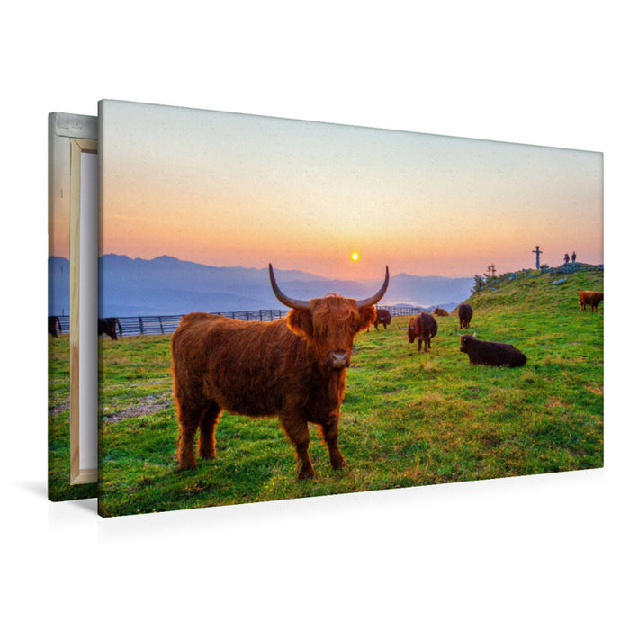 Premium Textil-Leinwand Hochlandrinder am Speiereck