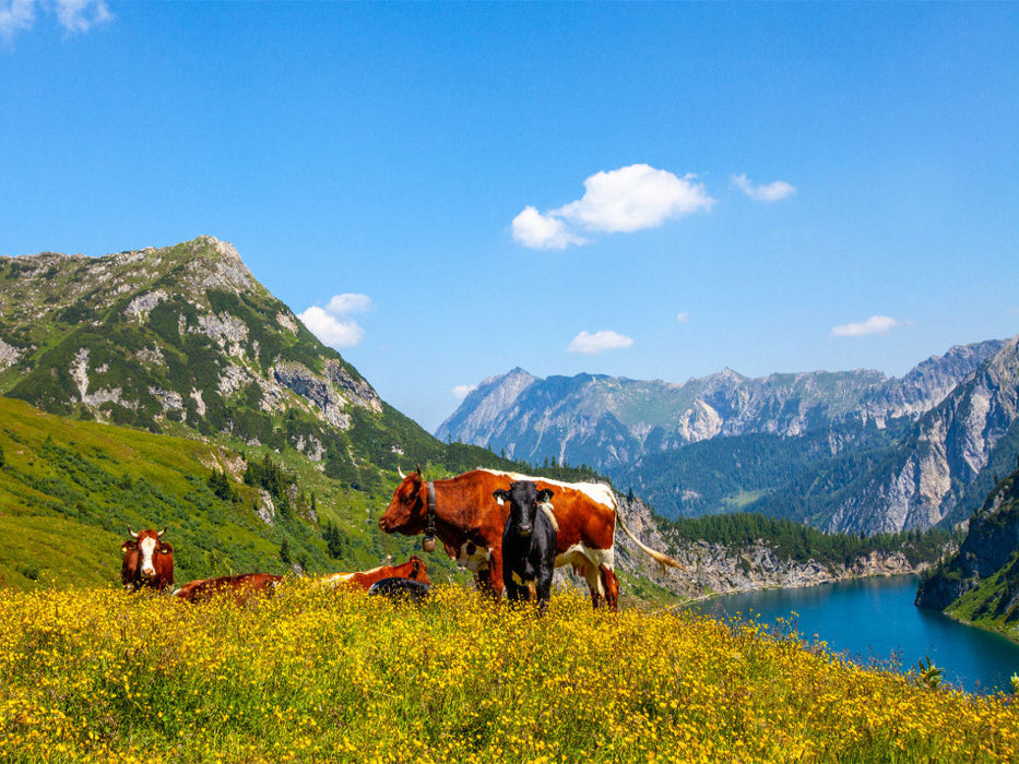 Kleinarl - CALVENDO Foto-Puzzle'