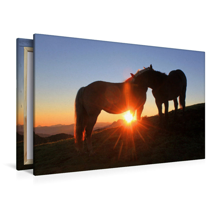 Premium Textil-Leinwand Zwei verliebte Pferde am Frommerkogel