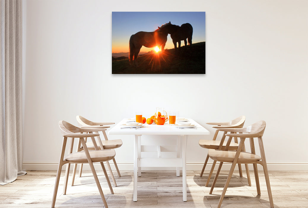 Premium Textil-Leinwand Zwei verliebte Pferde am Frommerkogel
