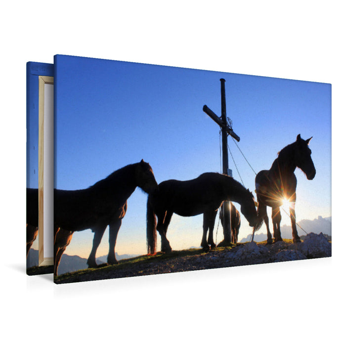 Premium Textil-Leinwand Pferdemesse am Frommerkogel