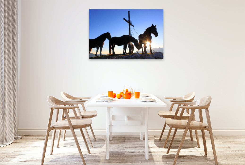 Premium Textil-Leinwand Pferdemesse am Frommerkogel