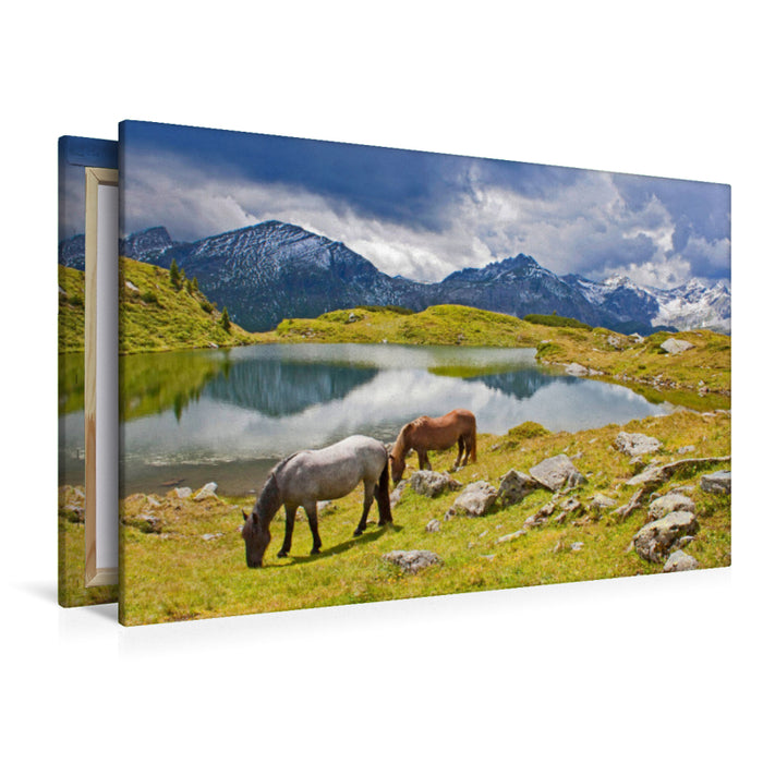 Premium Textil-Leinwand Zwei Pferde am Krummschnabelsee in Obertauern