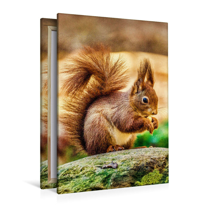 Premium Textil-Leinwand Die dunklen, glänzenden Augen des Eichhörnchens sind aufmerksam auf sein Futter gerichtet, während seine kleinen Ohren mit feinen Haarbüscheln spitz in die Luft ragen.