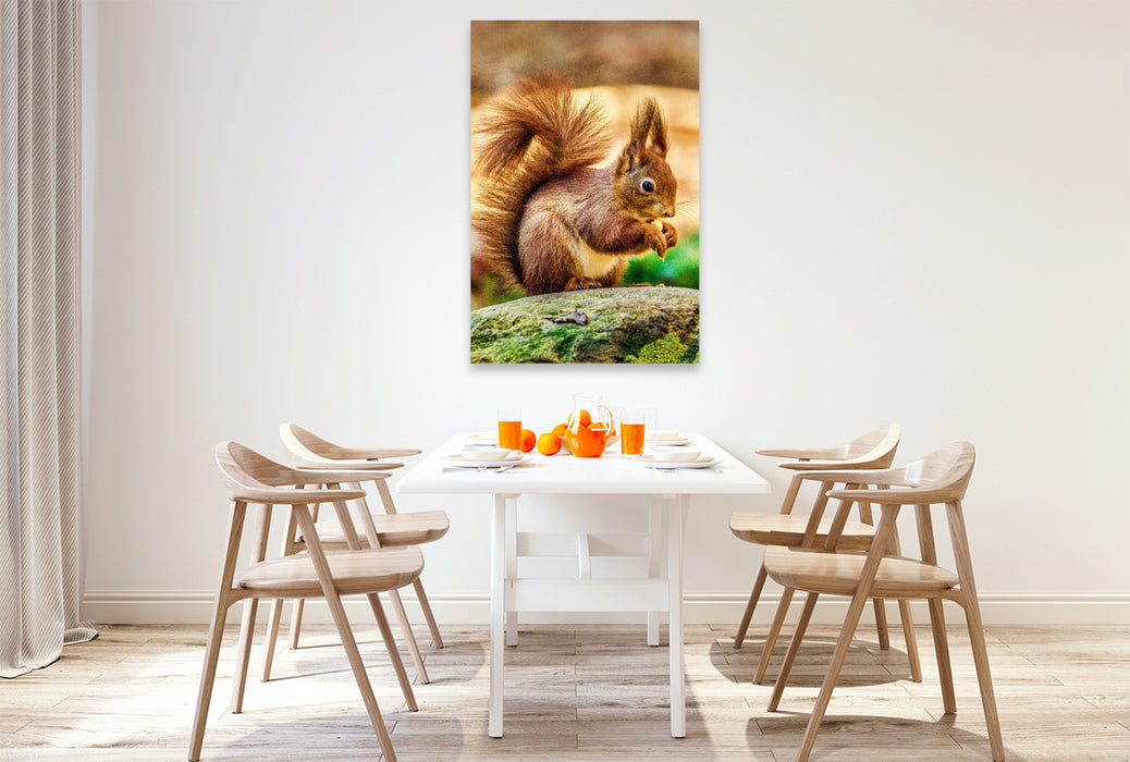 Premium Textil-Leinwand Die dunklen, glänzenden Augen des Eichhörnchens sind aufmerksam auf sein Futter gerichtet, während seine kleinen Ohren mit feinen Haarbüscheln spitz in die Luft ragen.