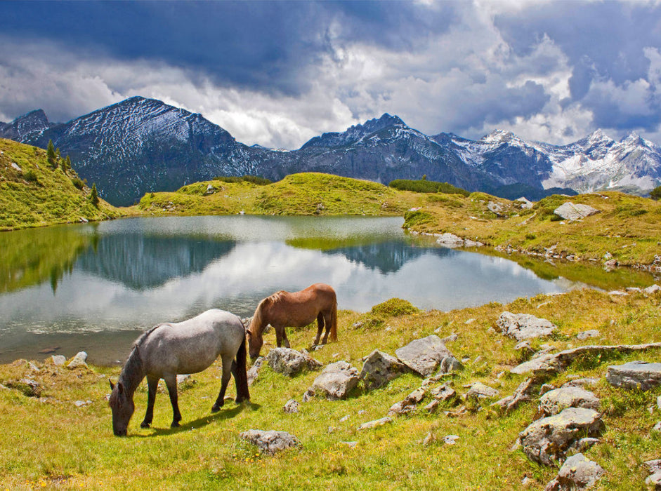 Zwei Pferde am Krummschnabelsee in Obertauern - CALVENDO Foto-Puzzle'