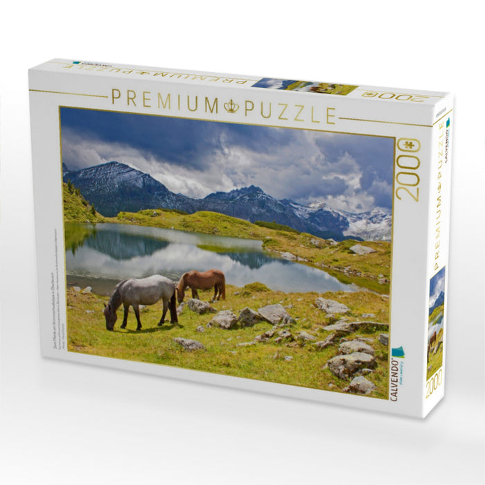 Zwei Pferde am Krummschnabelsee in Obertauern - CALVENDO Foto-Puzzle'