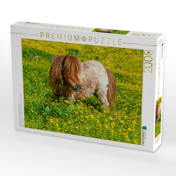 Ein Pony in der Sommerwiese in Radstadt - CALVENDO Foto-Puzzle'