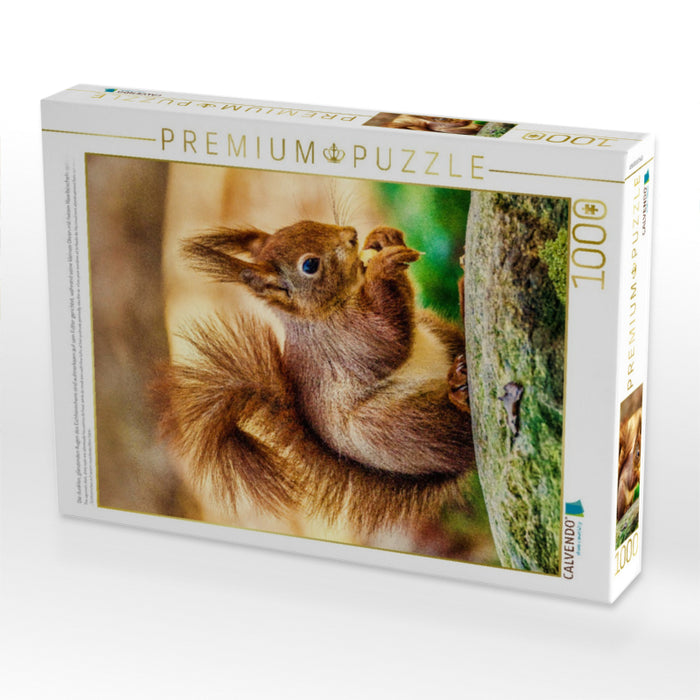 Die dunklen, glänzenden Augen des Eichhörnchens sind aufmerksam auf sein Futter gerichtet, während seine kleinen Ohren mit feinen Haarbüscheln spitz in die Luft ragen. - CALVENDO Foto-Puzzle'