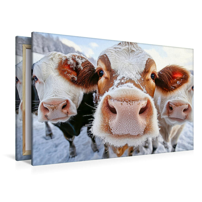 Premium Textil-Leinwand Welch eine Überraschung - Schnee