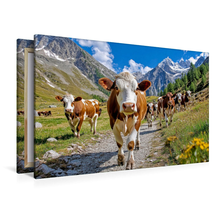 Premium Textil-Leinwand Hier wird schon mal der Almabtrieb geübt