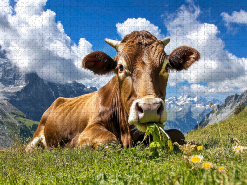 So macht das Kauen Spaß - CALVENDO Foto-Puzzle'