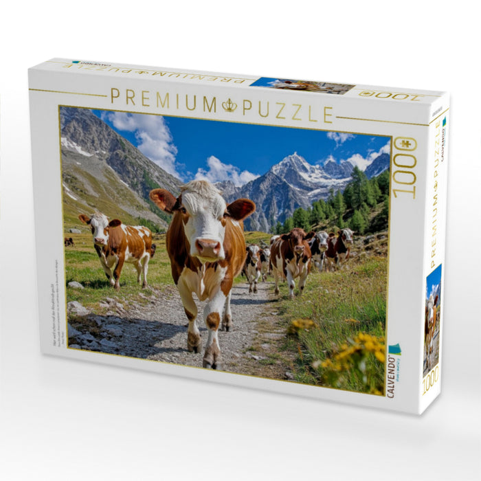 Hier wird schon mal der Almabtrieb geübt - CALVENDO Foto-Puzzle'