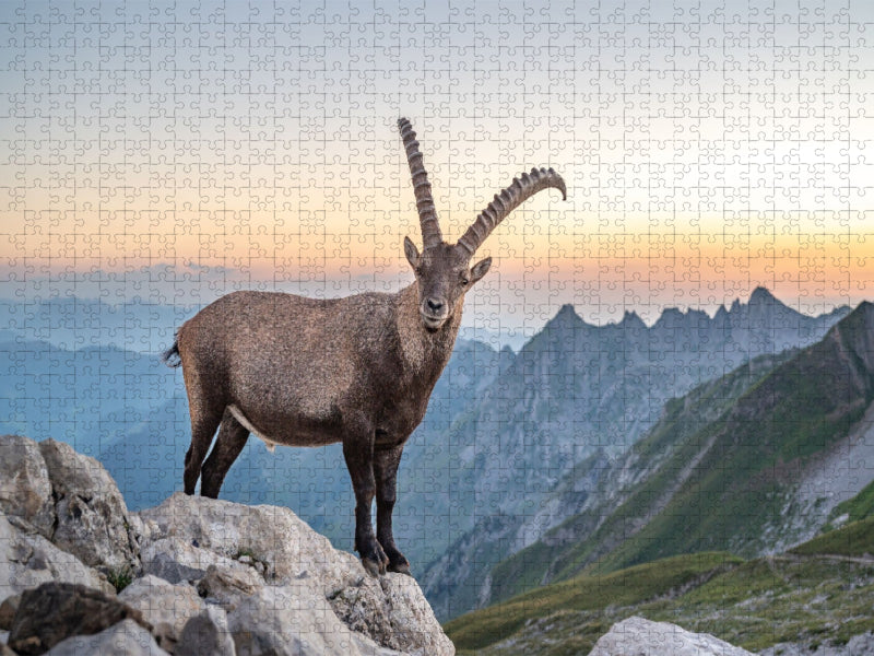 Der König und sein Königreich - CALVENDO Foto-Puzzle'