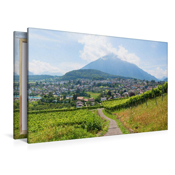 Premium Textil-Leinwand Rebberg Spiez am Thunersee