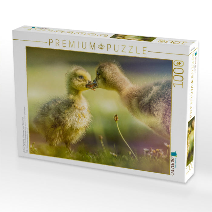 Zärtliche Begegnung – Ein Moment unter Gänseküken - CALVENDO Foto-Puzzle'