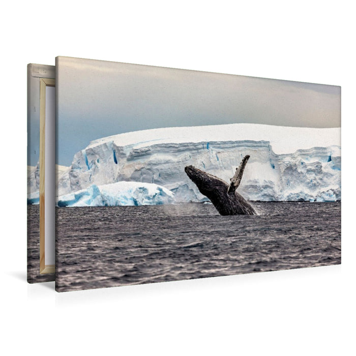 Premium Textil-Leinwand Ein Motiv aus dem Kalender Expedition Antarktis