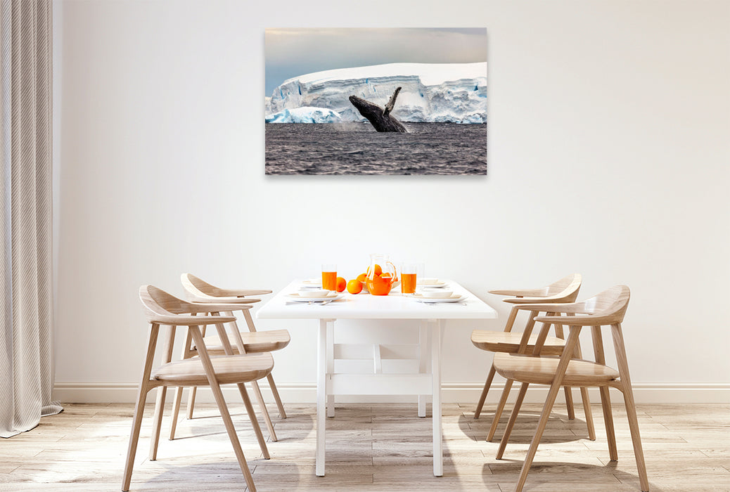 Premium Textil-Leinwand Ein Motiv aus dem Kalender Expedition Antarktis