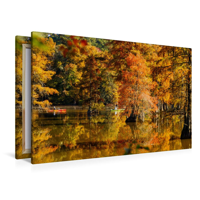 Premium Textil-Leinwand Kanufahrer und Sumpfzypressen im Trap Pond State Park – Delaware