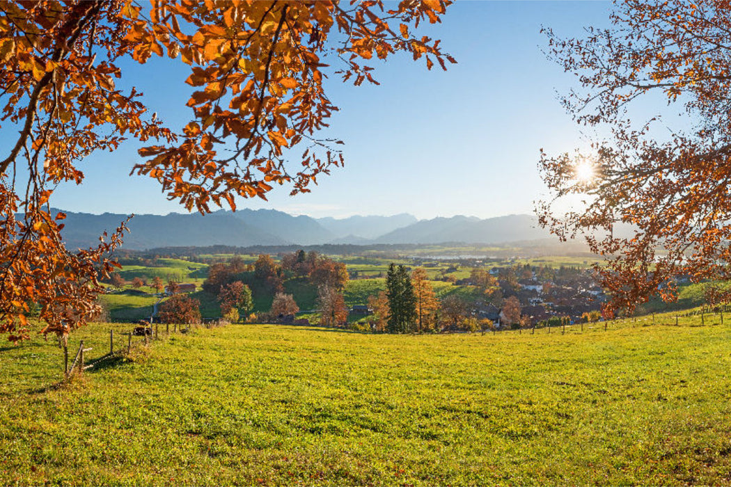 Premium Textil-Leinwand Aidlinger Höhe mit Alpenblick