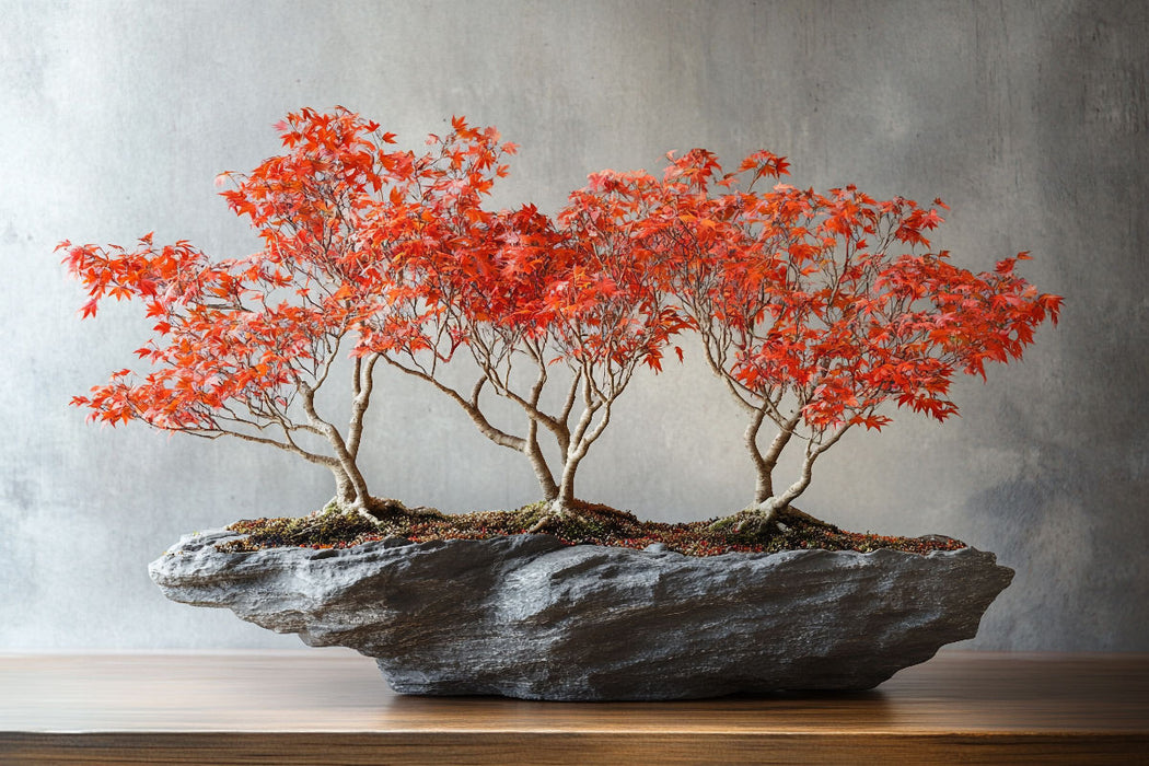 Premium Textil-Leinwand Lebenskunst in Miniatur - Bonsai