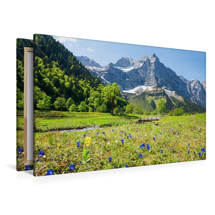 Premium Textil-Leinwand Enzianblüte in der Eng